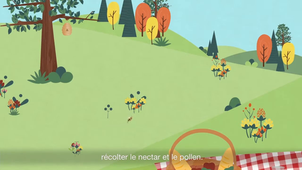 les-metiers-des-abeilles.mp4