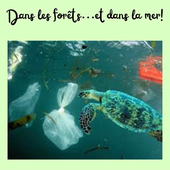 L’écologie selon les élèves de Bosco.mp4