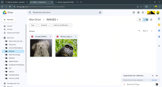 02 DRIVE Importer un fichier sur son Drive