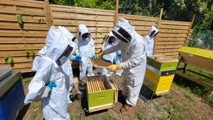 Club apiculture 22 mai.mp4