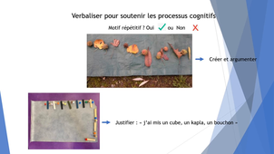 Vidéo programmes+motifs.mp4