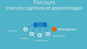 Initiation flash métacognition et autorégulation.mp4