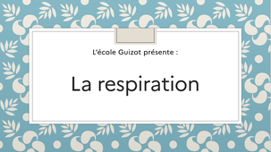 La respiration