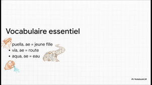 La_Première_Déclinaison.mp4