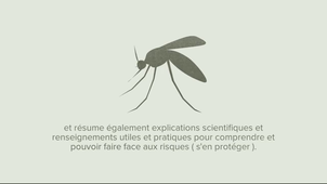 Alerte-aux-moustiques_Alicia-Alyssia_ok.mp4