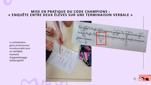 video Christophe NGUYEN GRAINVILLE JUIN 2026.mp4