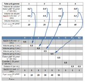 Dosage pNP avec pré-gamme (AT05)