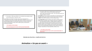 Webinaire Au pluriel n°1 - insulte