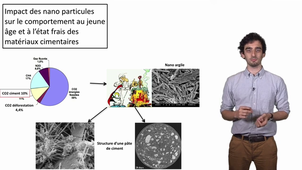 Impact des nano particules sur le comportement au jeune âge et à l'état frais des matériaux cimentaires