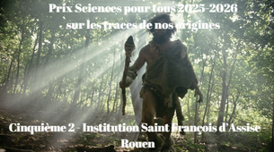 5è2 Institution Saint François d'Assise - Rouen