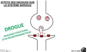 Effet des drogues