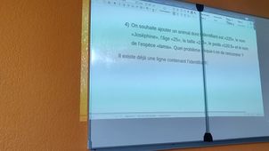 BEX B1 - Bases de Données (BDD)