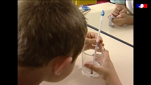 C1D proposer un temps de recherche.mp4