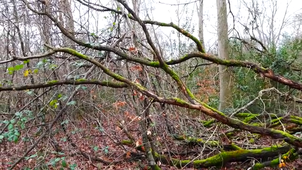 L'ocre - Lou Anne.mp4