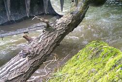 nuisances et dérangements