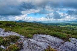 Wild Yorkshire