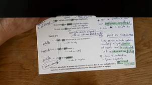 grammaire menteur négation.mp4