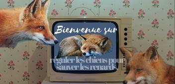 gérer la fréquentation canine sur l'ATE