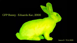 Bio-art, un lapin brillantissime_James_1.mp4