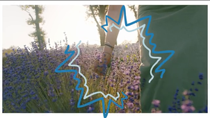 Vidéo n°4 - La biodiversité (2min00).mp4