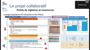 PNF 2023/2024 - 2 ème webinaire: Rénovation du BTS BIOTECHNOLOGIES EN RECHERCHE ET EN PRODUCTION