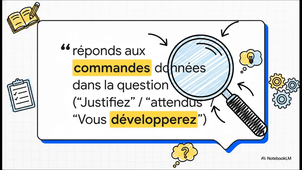 1 - Comprehension_&_Interpretation.mp4