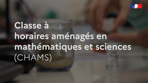Classe à horaires aménagés en mathématiques et sciences (CHAMS) - Expérimentation au collège Jean Mermoz - Angers
