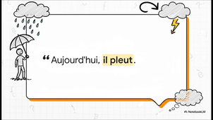 Les_formes_de_phrases.mp4