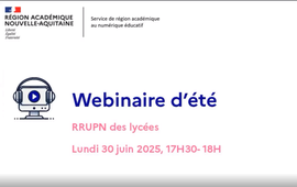 Webinaire été RRUPN lycées 30 juin.mp4