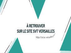 Conclusion des Traam - SVT Versailles - Contribution des simulateurs virtuels