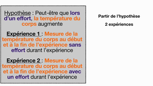 Modelage à améliorer - Proposer un protocole pour vérifier une hypothèse