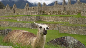 Machu Picchu.mp4