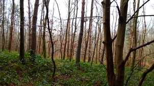 Nathan - L'humus.mp4