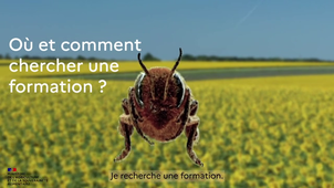 Video - Formation DRAAF PDL - Lycee Nature