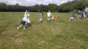 VID20260616110748.mp4