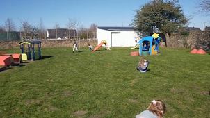 VID20260319153817.mp4