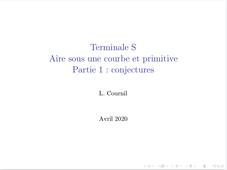 Conjecture du lien entre aire et primitive