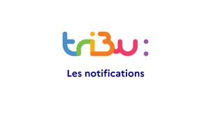 Gérer les notifications sur Tribu