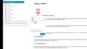 24WP_image_en_ligne.mp4