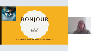 visio du 16 octobre sur les immobilisations dans opale.mp4