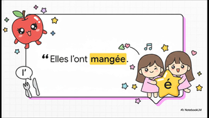 participe_passé_et_ses_accords.mp4