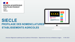 Profilage nomenclatures