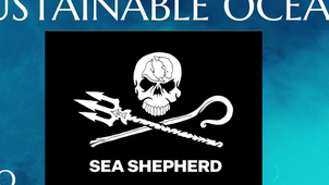 UN ocean conference.mp4