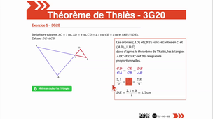 Calculer une longueur avec le théorème de Thalès (configuration papillon)