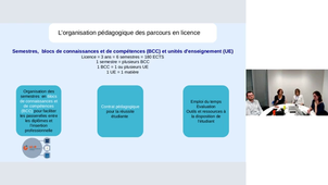 Les licences du secteur économie gestion Partie1