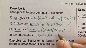 correction_ex1_litteral.mov