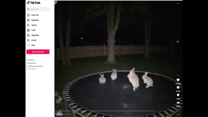 Gersfake #10 Lapins TikTok.mp4