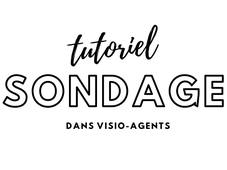 Sondage dans Visio-Agents