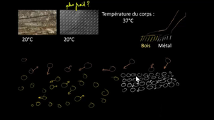 Conductivité thermique du métal et du bois