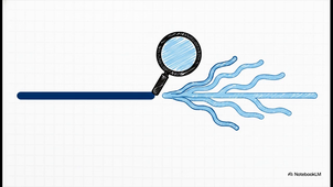 Fiche 33 - Je sais faire comprendre mes intentions implicitement.mp4